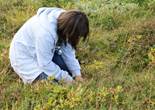 IMG_1947 (1280x853).jpg (148687 bytes)